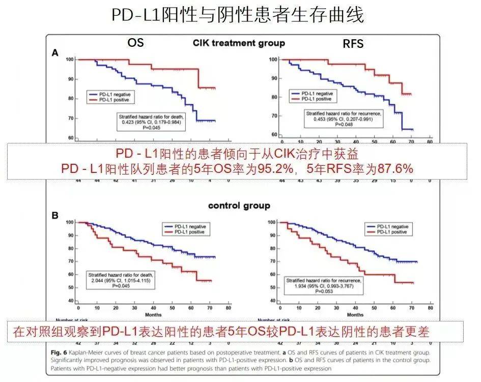 淘宝上欧洲版苹果:CIK细胞72小时到达肿瘤部位，多项临床研究表明显著提升5年生存率-第8张图片-太平洋在线下载