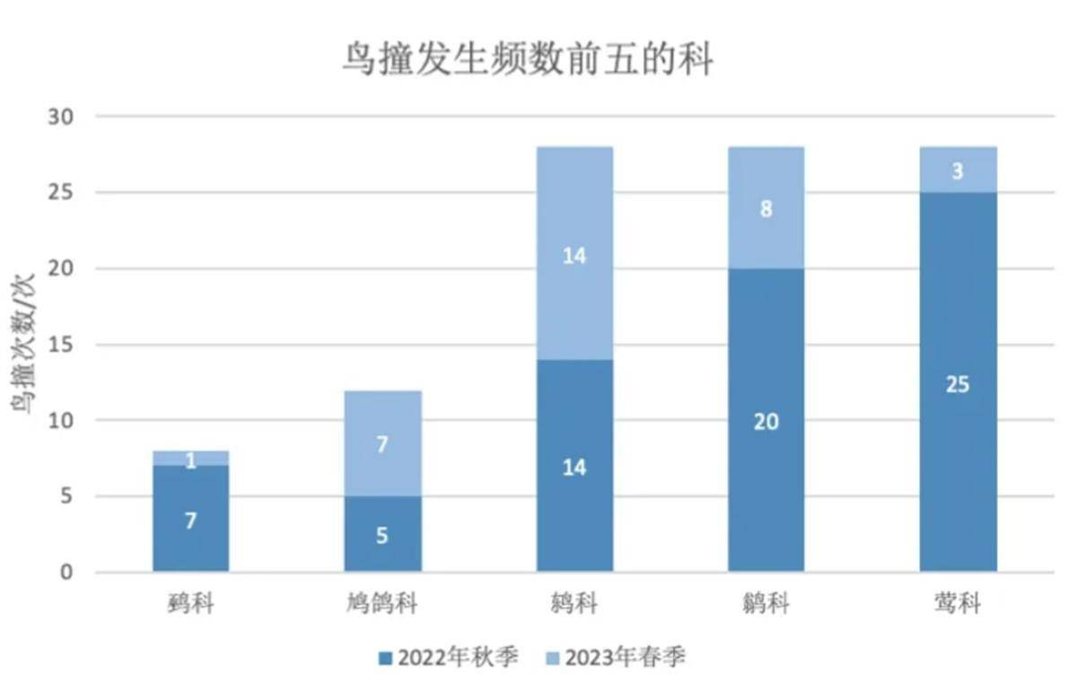 腾讯总部大楼贴“膜”防鸟撞背后：鸟撞频率远比想象高，小波点能帮大忙-第5张图片-太平洋在线下载