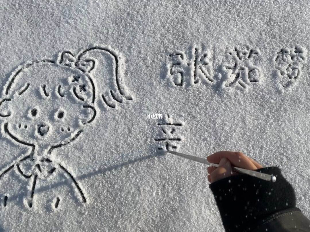 雪地写字器下载苹果版火龙果写作专业版官网入口