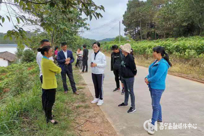 昌宁新闻网客户端官网首页的简单介绍-第1张图片-太平洋在线下载