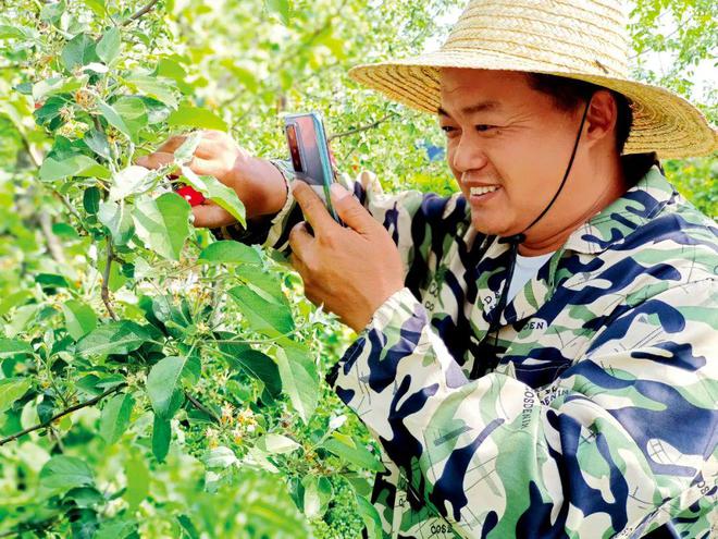 农民版小苹果小苹果他爹最新版本-第2张图片-太平洋在线下载