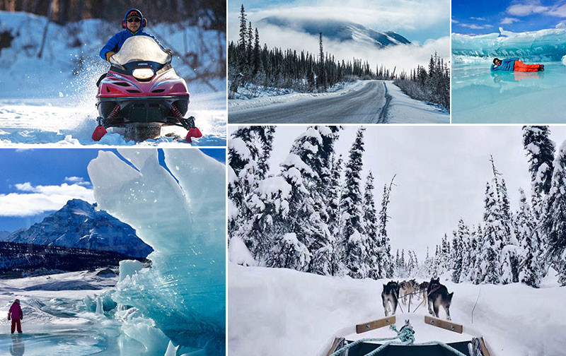 极地捕鱼安卓版下载苹果版(极地捕鱼安卓版下载苹果版安装)-第5张图片-有道翻译官网