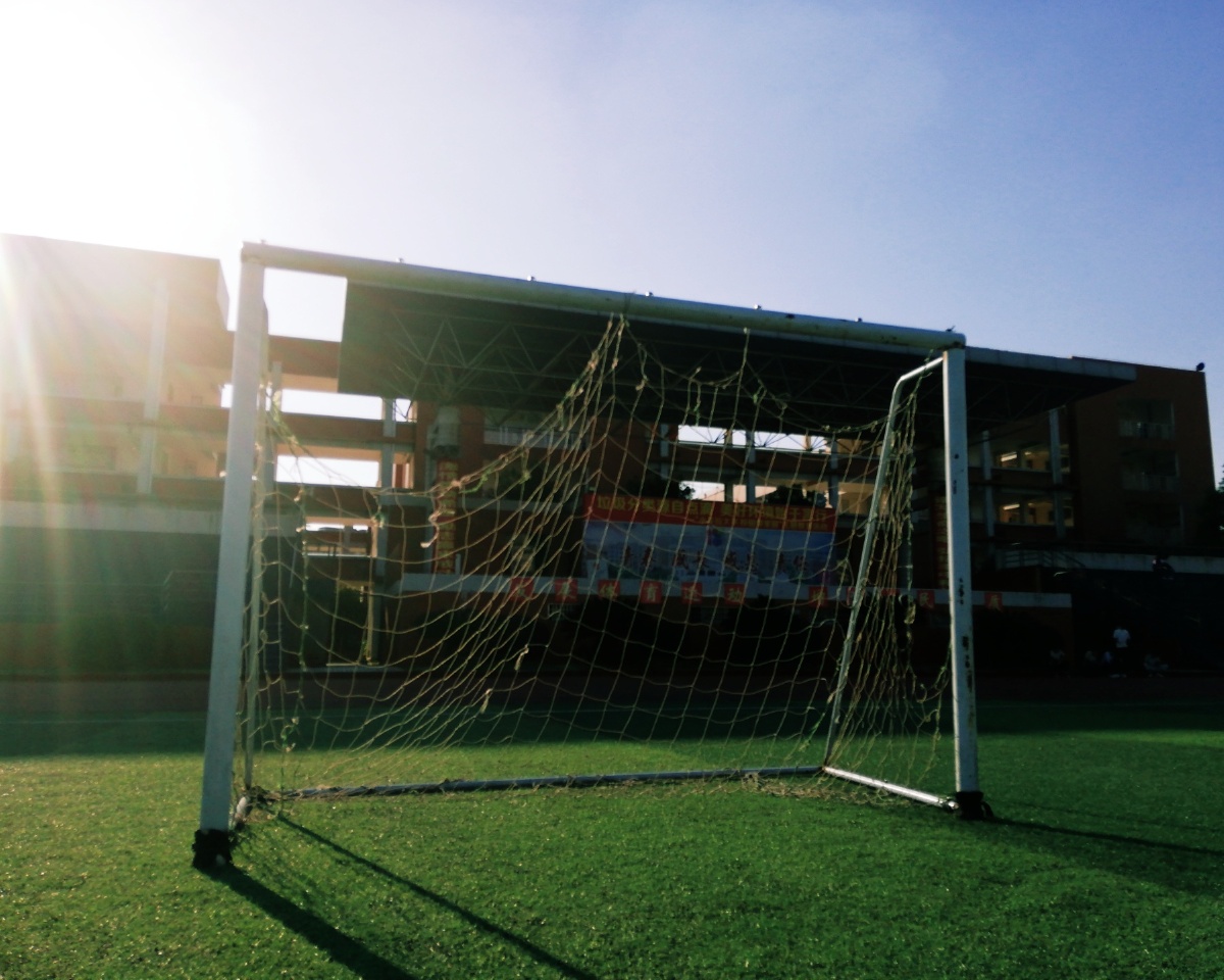 操场app下载安卓版苹果版(操场app下载安卓版苹果版安装)-第10张图片-有道翻译官网