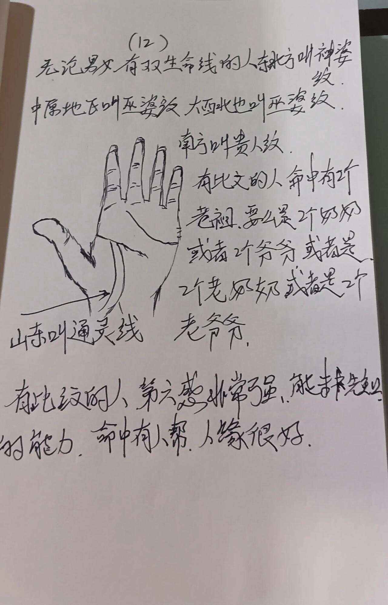 生命线苹果版(生命线ios不见了)-第1张图片-有道翻译官网 生命线苹果版(生命线ios不见了)-第1张图片-有道翻译官网